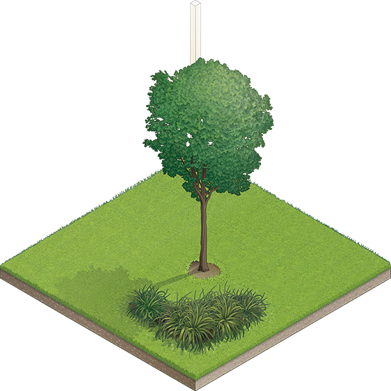 Illustration de la pièce 